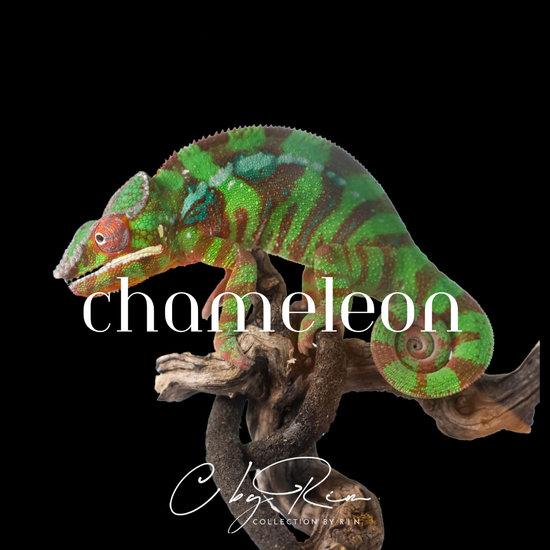 Chameleon Ring