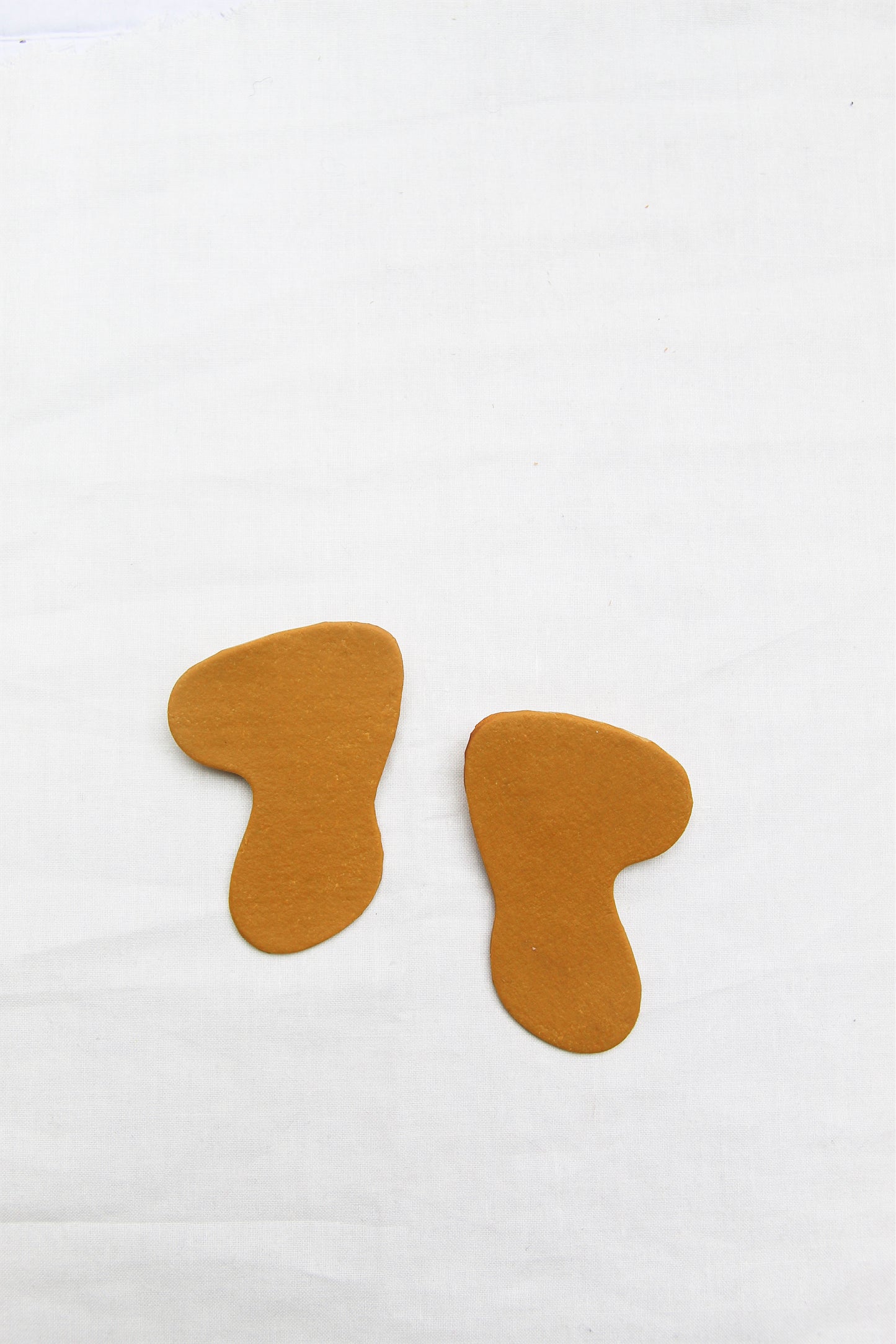 Boomerang Studs